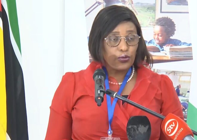 Ministra da educação diz que professores gerem mal o salário – O País