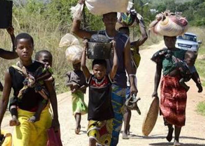 Pelo menos 4.445 pessoas fugiram de ataques em Cabo Delgado – O País
