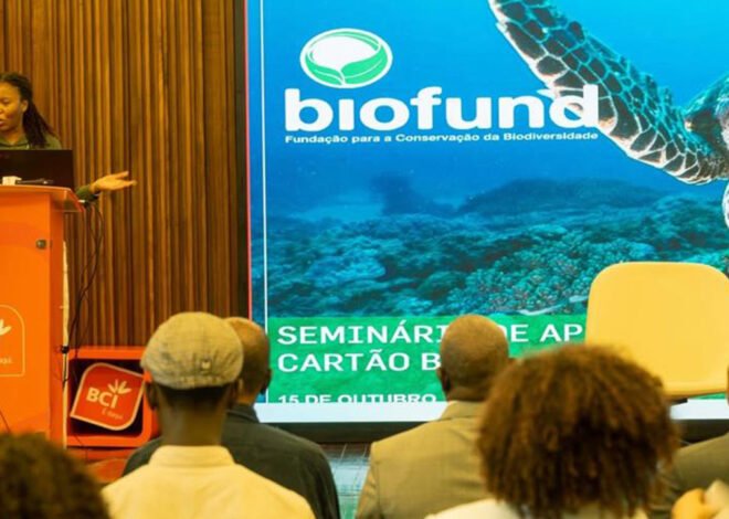 Mobilizados 47 milhões de meticais para a conservação da biodiversidade em Moçambique – O País